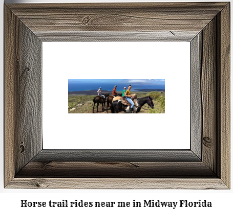 horse trail rides near me in Midway, Florida